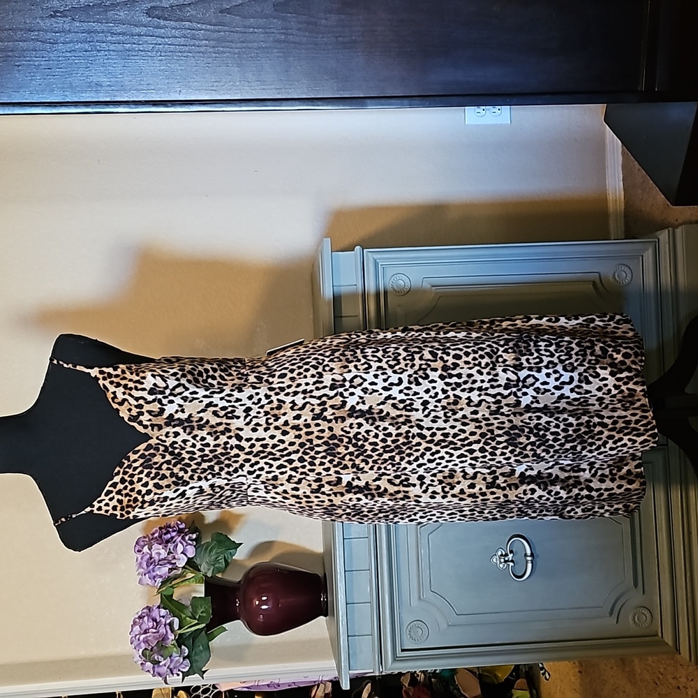 NWT 🎀 Express Cheetah Print Slip Dress